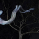 Ghostly Lightpainting Uses a Cross-Sectioned Video of an Executed Convict's Body as Light Source